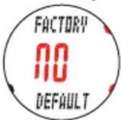 CAT EYE Q3 - Redemarrage - 2