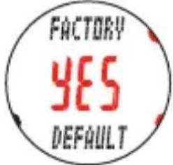 CAT EYE Q3 - Formatage - 1