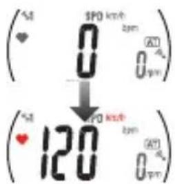 CAT EYE Q3 - Capteur de fréquence cardiaque - 1