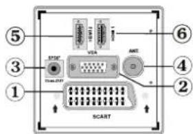 TechLine TL32LC740 - Viewing the Connections-Back Connectors - 1