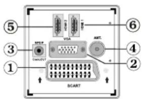 TechLine TL32LC740 - Affichage des branchements - connecteurs arrêté - 1
