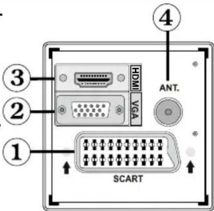 TechLine TL22LC740 - Affi chage des branchements - connecteurs arrirée - 1
