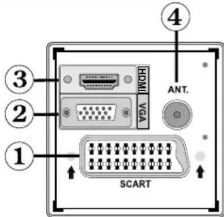 TechLine TL19LC740 - Panorama delle connessioni – Connettori posti sul retro - 1