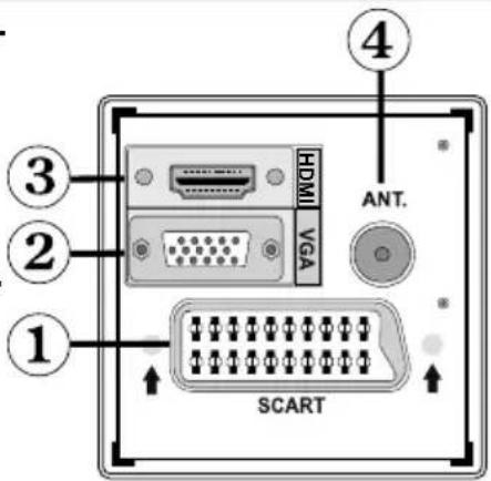 TechLine TL19LC740 - Affi chage des branchements - connecteurs arrirée - 1
