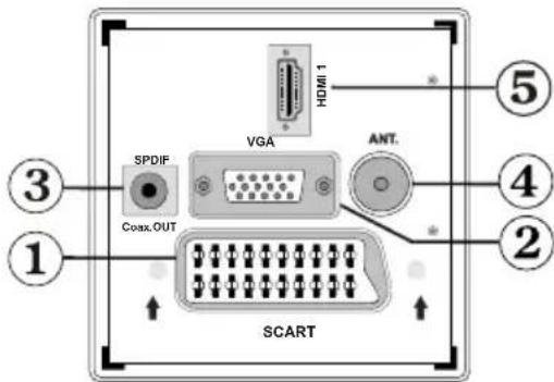 TechLine TL26LC741 - Affi chage des branchements - connecteurs arrirée - 1