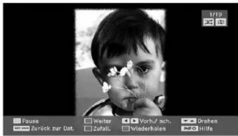 TechLine TL19LC741 - Optionen fur Slideshow - 1