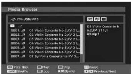 TechLine TL19LC741 - Playing MP3 Files - 1