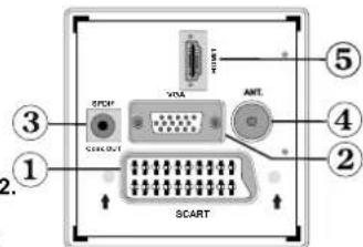 TechLine TL19LC741 - Ansicht der Anschlüsse - Anschlüsse an der Rückseite - 1