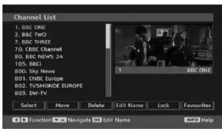 TechLine TL19LC741 - Renaming Channels - 1