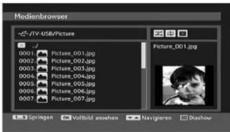 TechLine TL19LC741 - Ansehen von JPEG-Dateien - 1