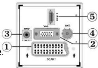 TechLine TL19LC741 - Affi chage des branchements - Connecteurs arriere - 1