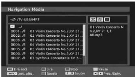 TechLine TL19LC741 - Navigateur media - 3