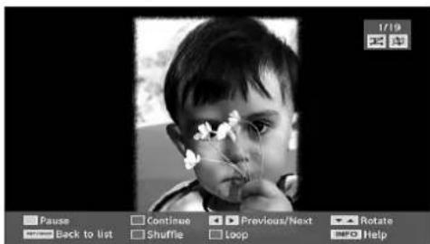 TechLine TL19LC741 - Slideshow Options - 1