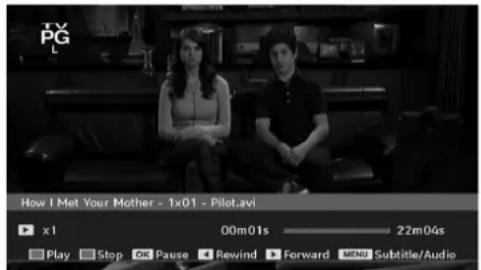 TechLine TL19LC741 - Video Playback - 1