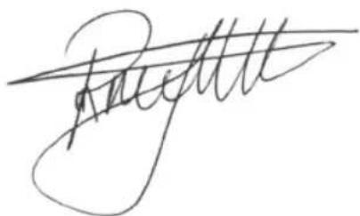 BESTRON AHD200P - CE-KONFORMITÄTSERKLÄRUNG - 1