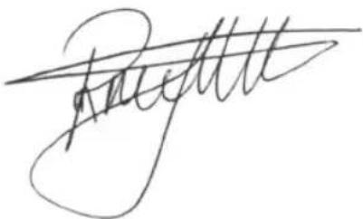 BESTRON AHD200P - CE-CONFORMITEITSVERKLARING - 1