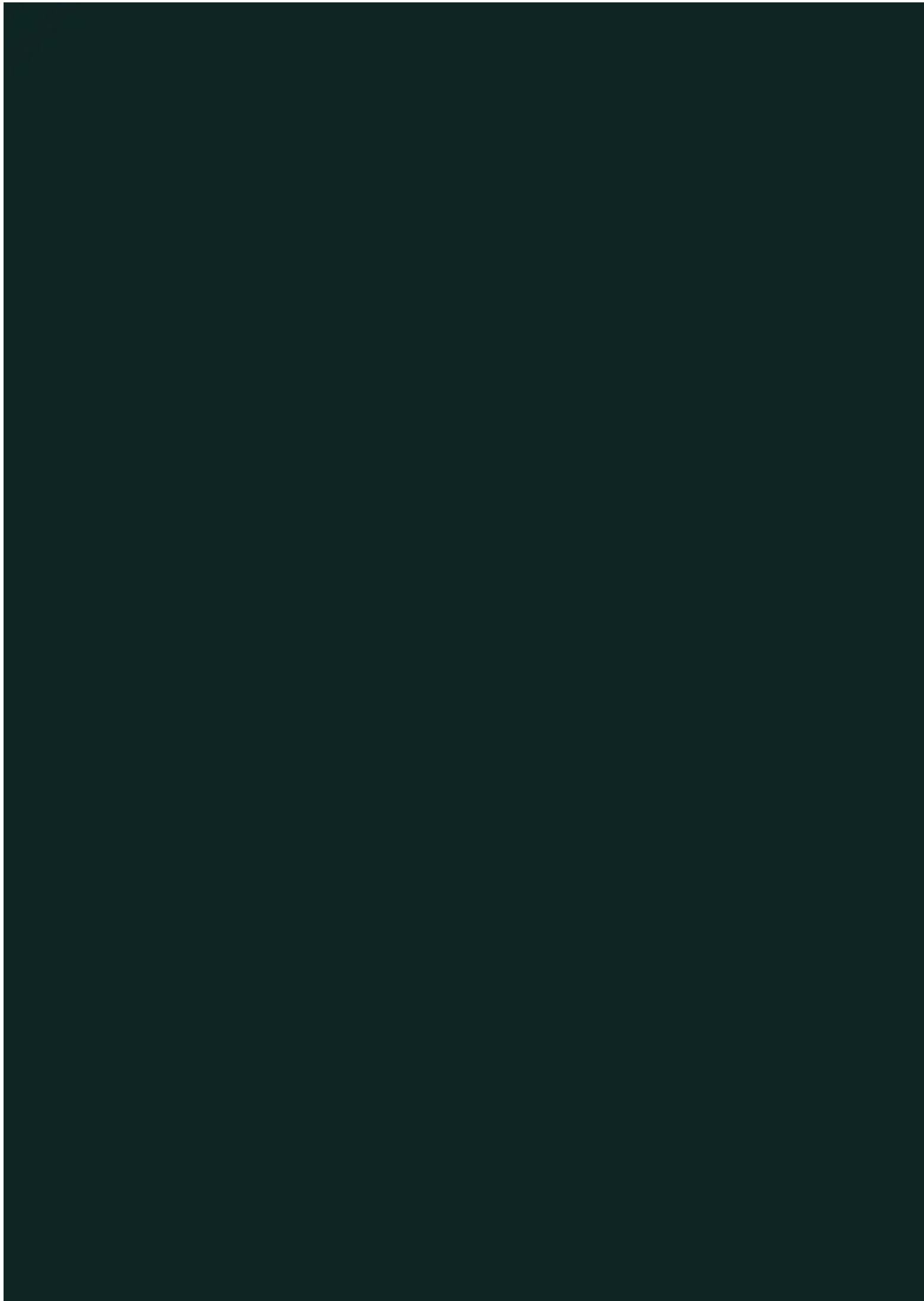 Audemars Piguet Royal Oak 26574ST.OO.1220ST.02 - ECRIN ROTATIF - 1
