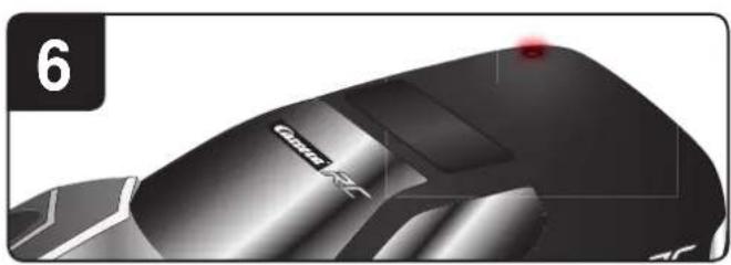 CARRERA Green Stroke - 21
