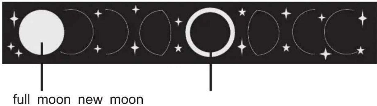 Plieger REV 800 - Display for the phase of the moon - 1