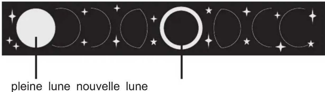 Plieger REV 800 - Indication de la phase de la lune - 1