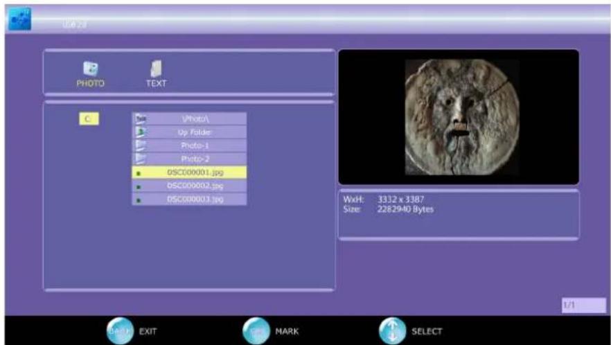 VIEWSONIC VT2205LED - Viewing Photo or Slide Show - 1