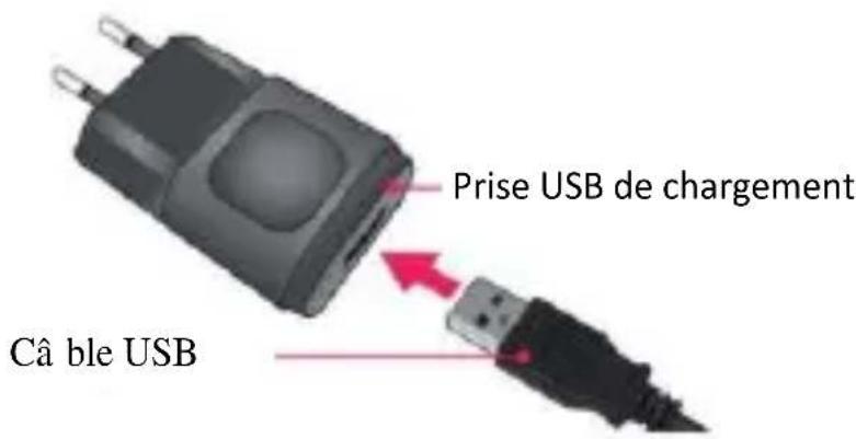 HISENSE Staraddict 5 L678 - COMMENT CHARGER MON MOBILE? - 1