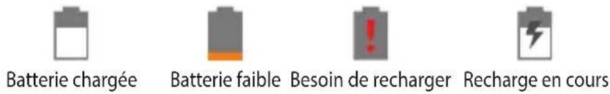 HISENSE Sero 8 Pro - Icône de la batterie - 1