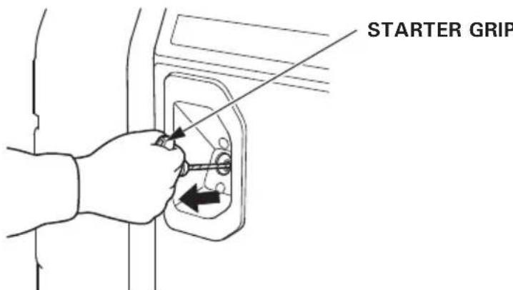 Honda EU30IS - WARNING - 2