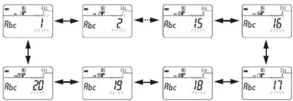 SEKONIC DigitalMaster L758Cine - [Mode réglage du canal ControlTL® sans fil] - 2