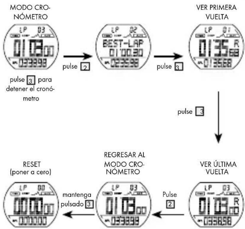 CRIVIT IAN 275275 - Visualizar la memoria del cronómetro - 3