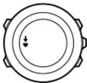 SUUNTO Ambit 3 Vertical 1.0 - Programmes d'entrainment - 4