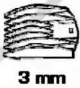 ESSENTIELB ETCR 1 - C4A4A4B8B8SQEESHEENNOQEESS - 3