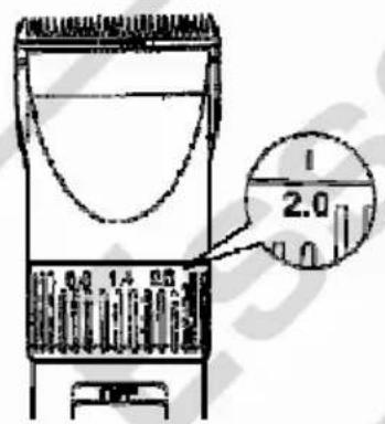 ESSENTIELB ETCR 1 - Fbaomettieerldesdamaes : - 1