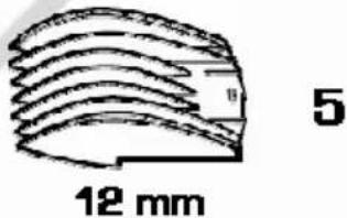 ESSENTIELB ETCR 1 - C4A4A4B8B8SQEESHEENNOQEESS - 6
