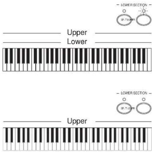 General Music CD10 - Einen anderen Splitpunkt einstellen - 1