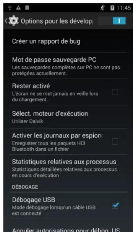 bq Aquaris E5 FHD - Options pour les développpeurs - 3