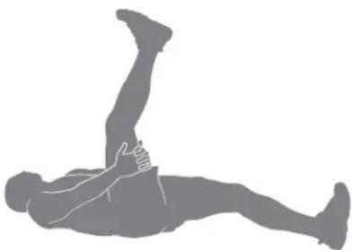 BOWFLEX Max Trainer M5i - Relevés de jambes en position allongée - 1