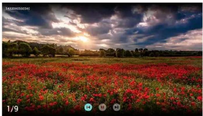 PHILIPS 43PFF5222 - 观看照片 - 1