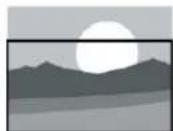 PHILIPS 43PFF5222 - 更改画面格式 - 4