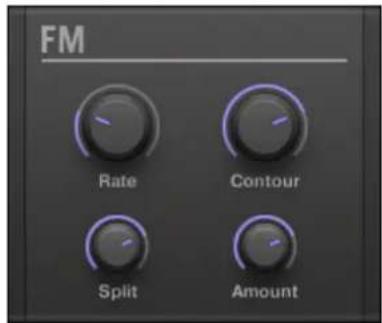 NATIVE INSTRUMENTS Maschine Mikro MK2 - FM - 1