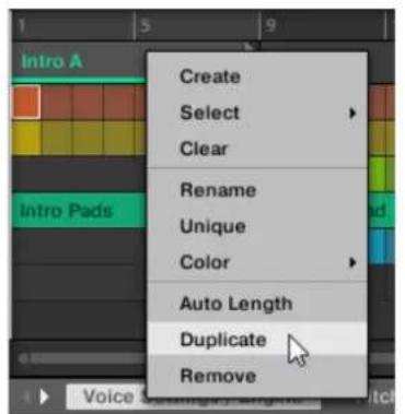NATIVE INSTRUMENTS Maschine Mikro MK2 - Dupliquer une section - 1