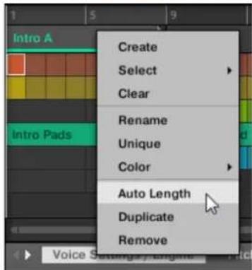 NATIVE INSTRUMENTS Maschine Mikro MK2 - Dupliquer un pattern dans l'affichage song - 1