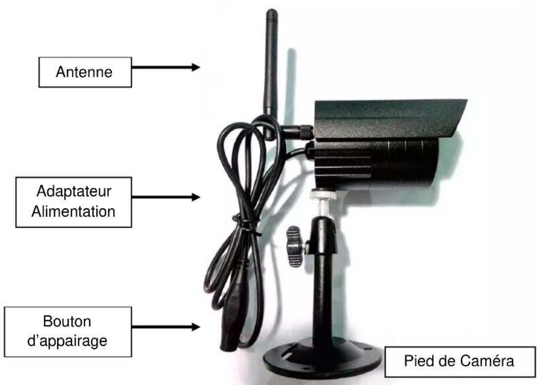 TECHNAXX TX28 - Côté de laamera sans fil (Description du haut vers le bas) - 1