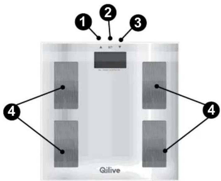 Qilive Q.7698 - DESCRIEREA APARATULUI - 1