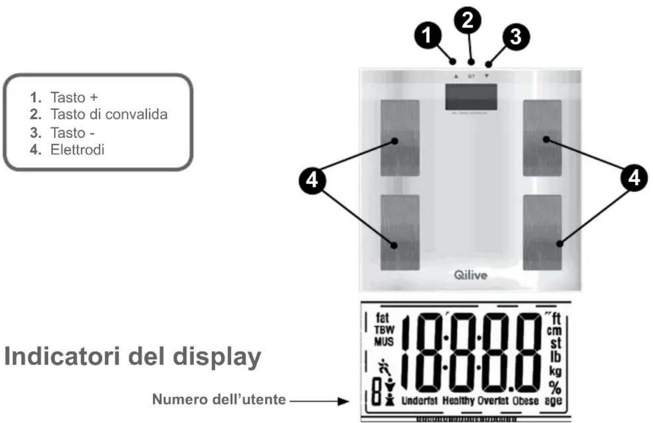 Qilive Q.7698 - DESCRIZIONE DELL'APPARECCHIO - 2