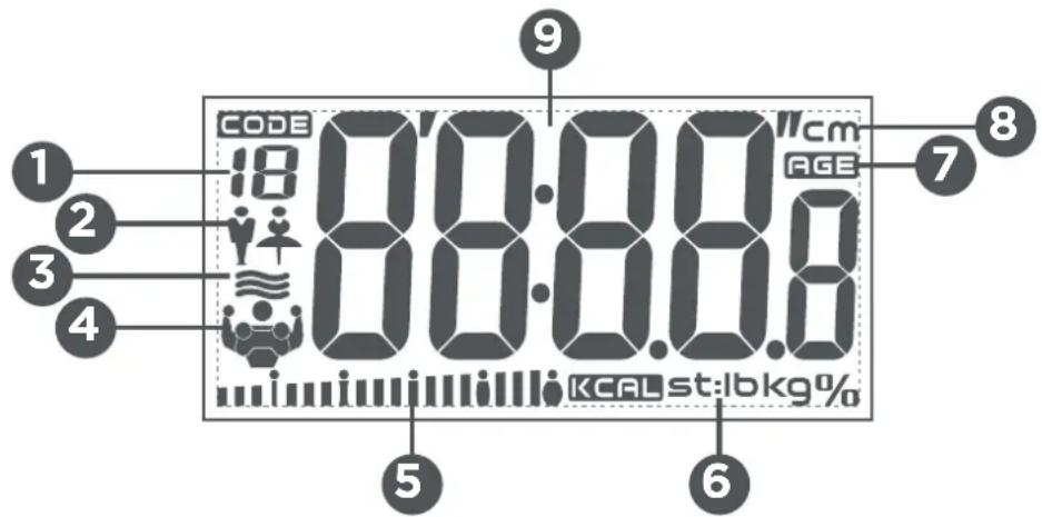 Qilive Q.5033 - 2.DESCRIPTION - 2