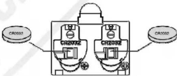 ESSENTIELB EIMP2 - SHUHCTONJIDEL LUNNTEODENWSSUU - 2