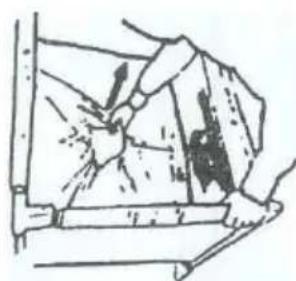 Topmark Charlie - PARAPLEGAR - 1