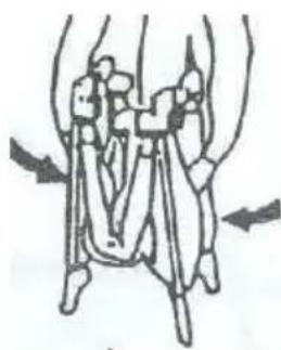 Topmark Charlie - TO FOLD - 5