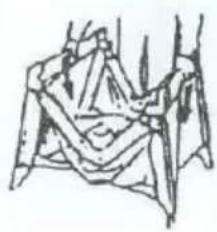 Topmark Charlie - TO FOLD - 3